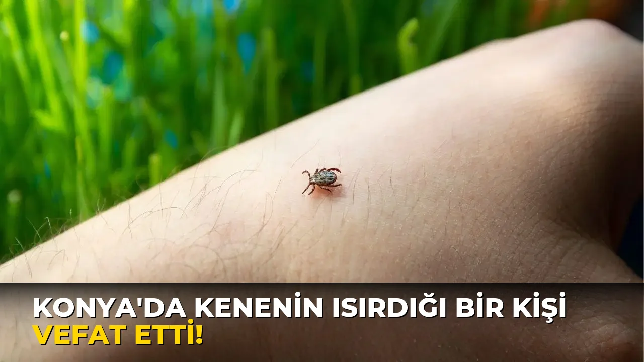 Konya'da kenenin ısırdığı bir Kişi vefat etti!