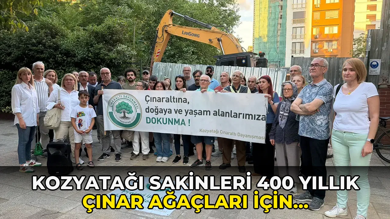 Kozyatağı Sakinleri 400 Yıllık Çınar Ağaçları için Harekete Geçti!