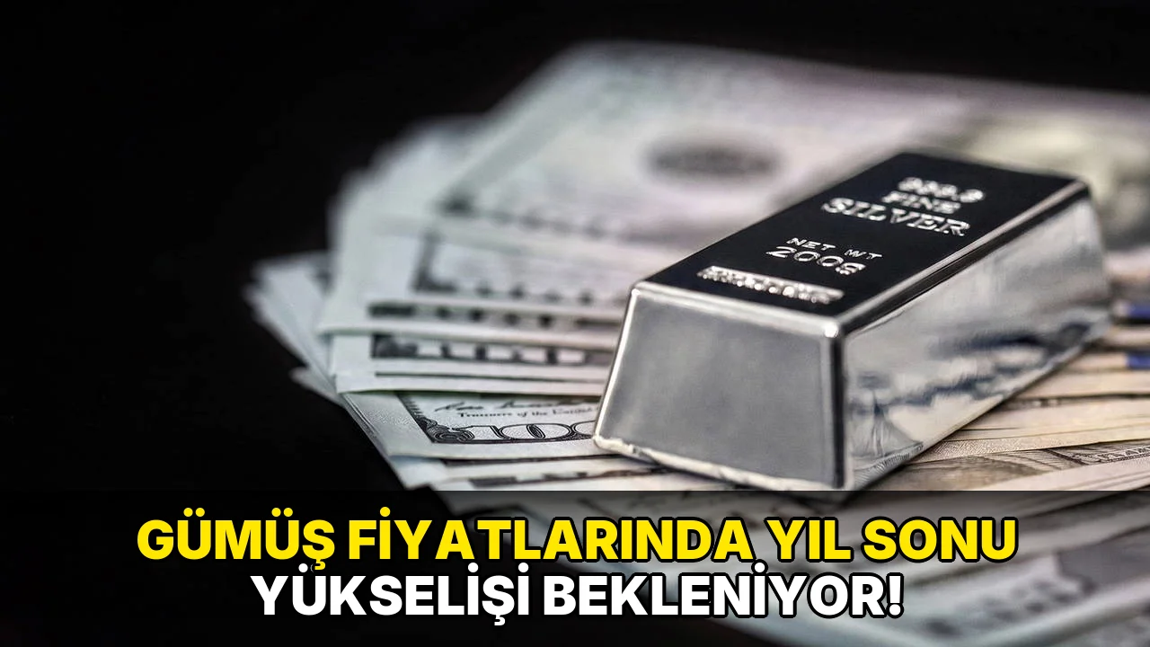 Gümüş Fiyatlarında yıl sonu yükselişi bekleniyor!
