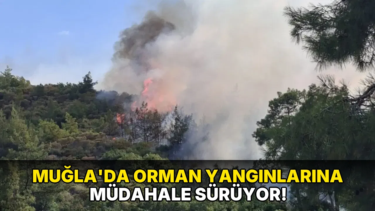 Muğla'da orman Yangınlarına Müdahale Sürüyor!