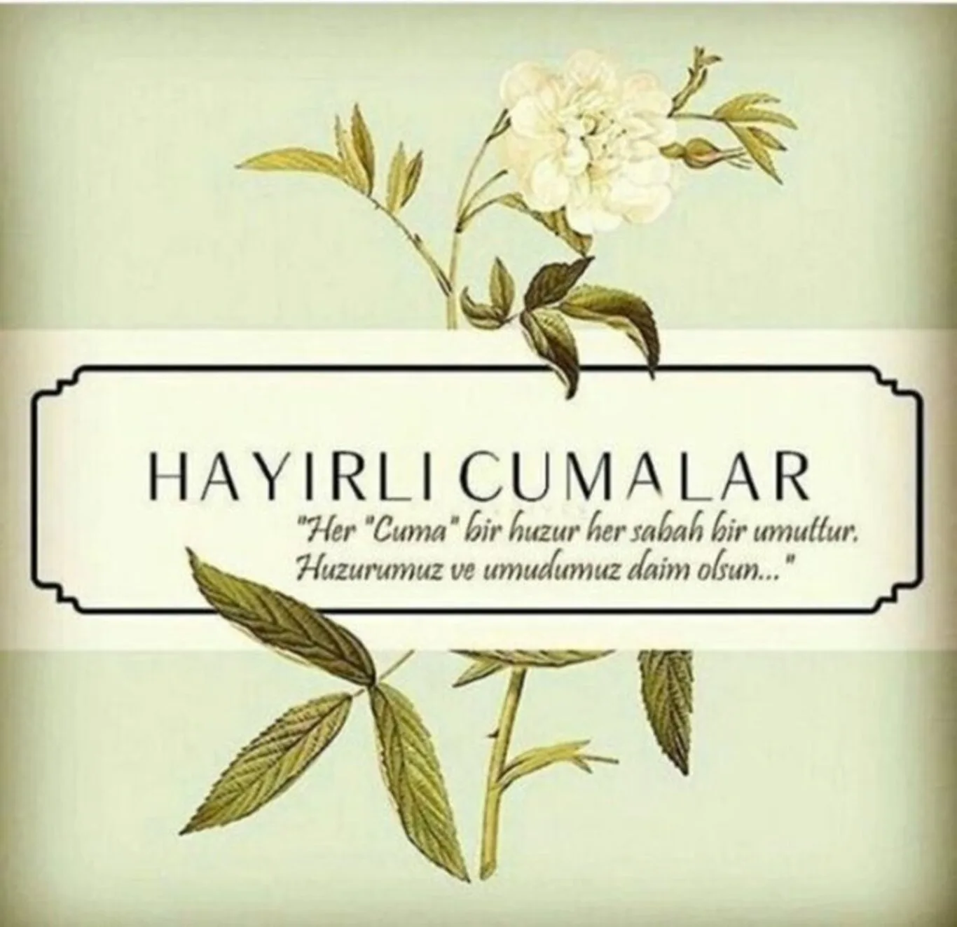 Resimli Cuma Mesajları Paylaşıldı!