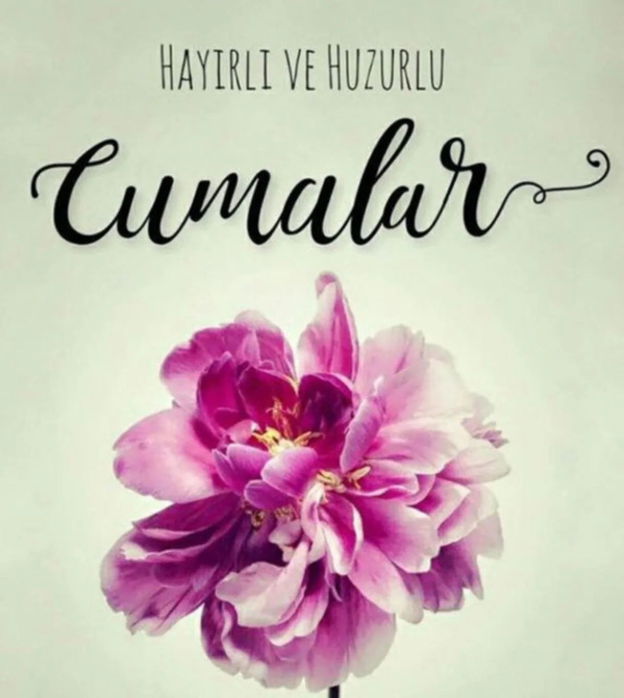 Resimli Cuma Mesajları Paylaşıldı!