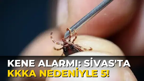 Kene Alarmı: Sivas’ta KKKA nedeniyle 5!