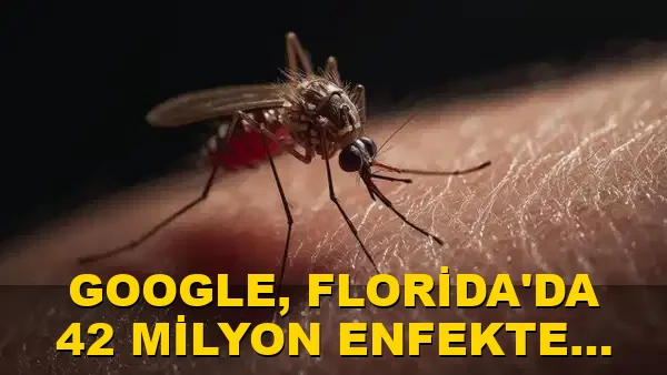 Google, Florida'da 42 milyon enfekte sivrisinek salıyor!