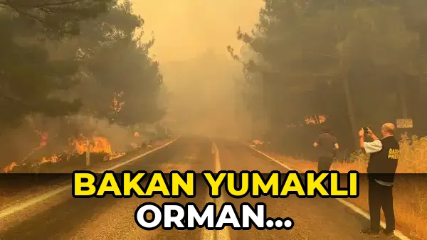 Bakan Yumaklı orman yangınlarında son durumu açıkladı: Alanya ve Foça kontrol altında