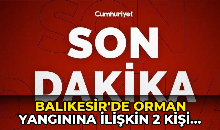 Balıkesir'de orman yangınına ilişkin 2 kişi tutuklandı
