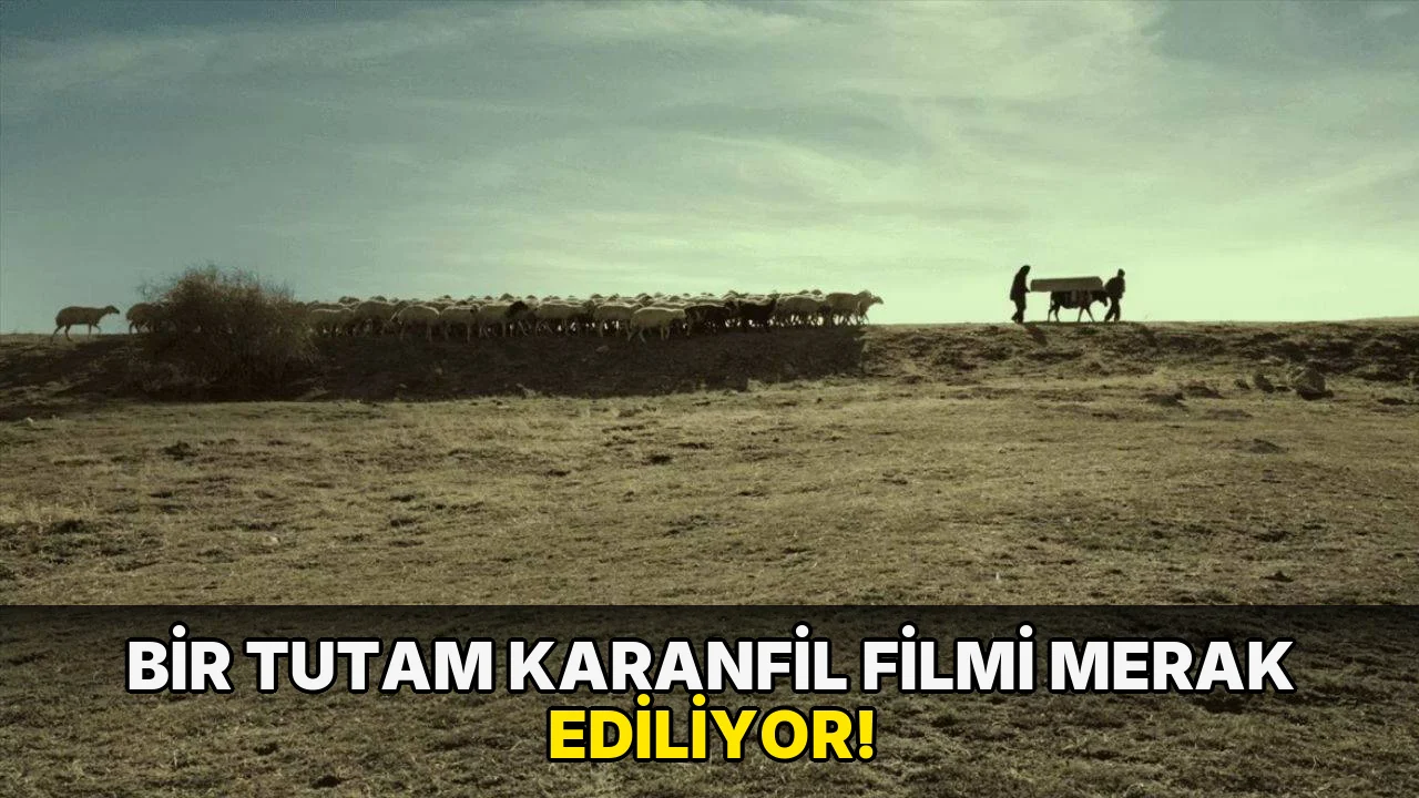 Bir Tutam Karanfil Filmi Merak Ediliyor!