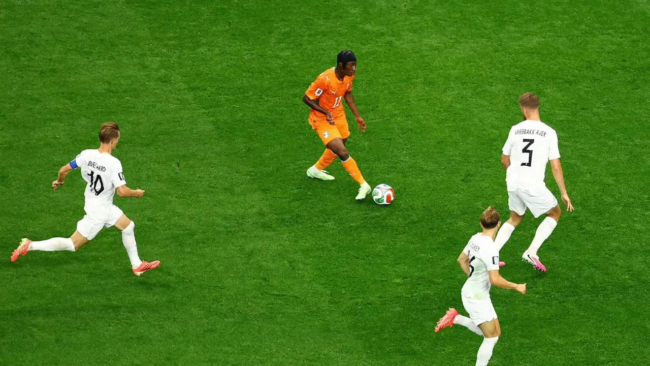 Fenerbahçe