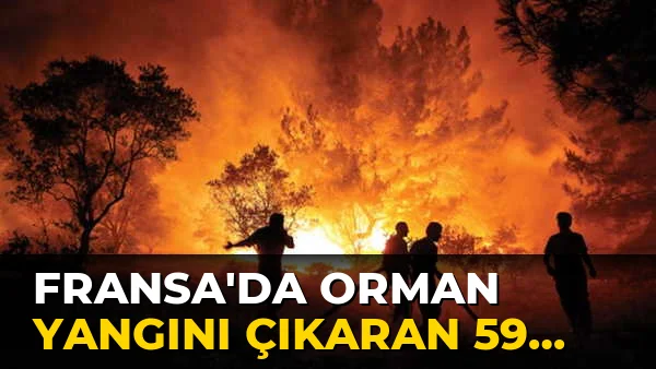 Fransa'da orman Yangını Çıkaran 59 kişi!