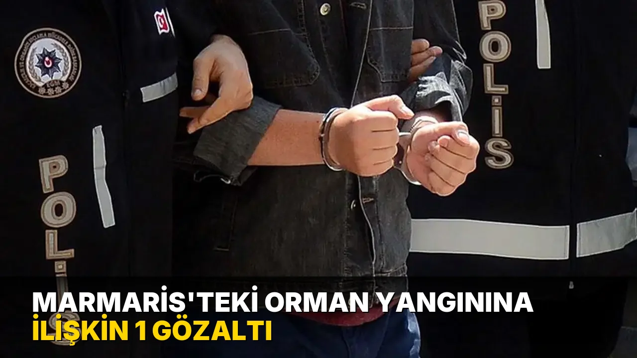 Marmaris'teki orman yangınına ilişkin 1 gözaltı