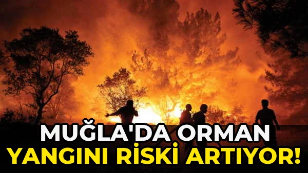 Muğla'da orman Yangını Riski Artıyor!