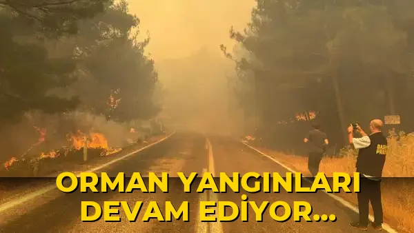 Orman yangınları devam ediyor... Bayan Yumaklı son durumu açıkladı