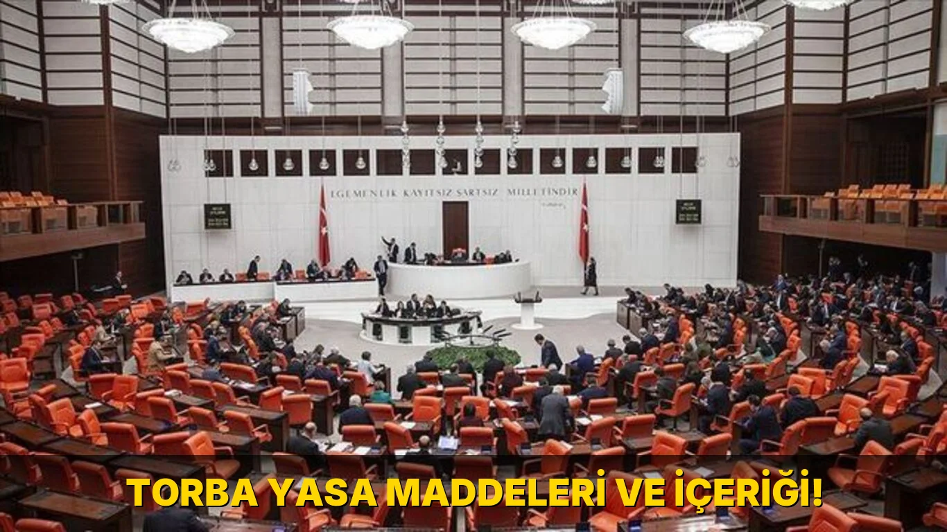 Torba Yasa Maddeleri ve içeriği!