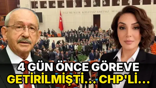 4 gün önce göreve getirilmişti... CHP'li Özlem Özşahin'den 'çerçeve yasa' istifası
