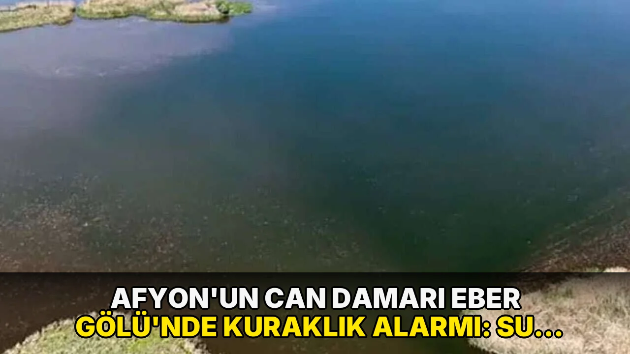Afyon'un can damarı Eber Gölü'nde kuraklık alarmı: Su seviyesi 30 santimetreye indi!
