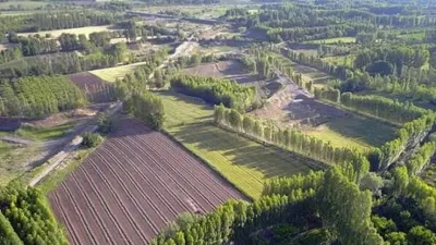 Antalya'daki 10 milyar liralık Hazine arazisi vurgununda 10 tutuklama