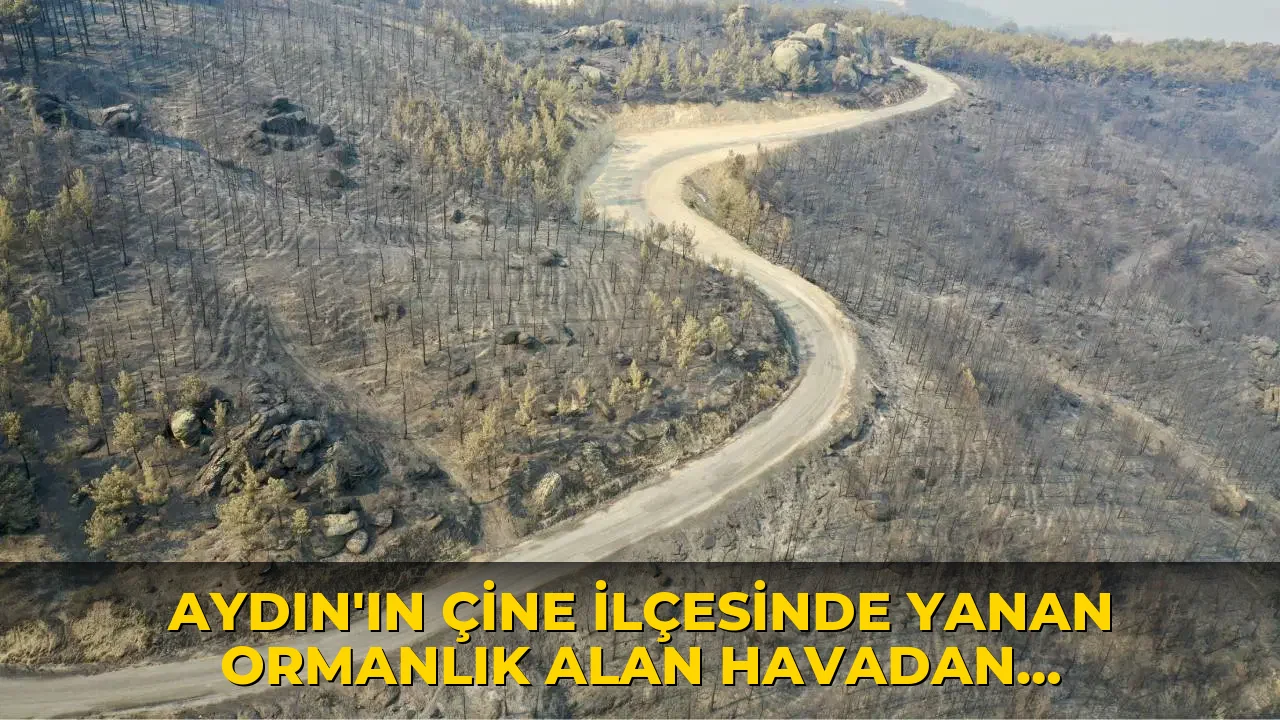 Aydın'ın Çine ilçesinde yanan ormanlık alan havadan görüntülendi
