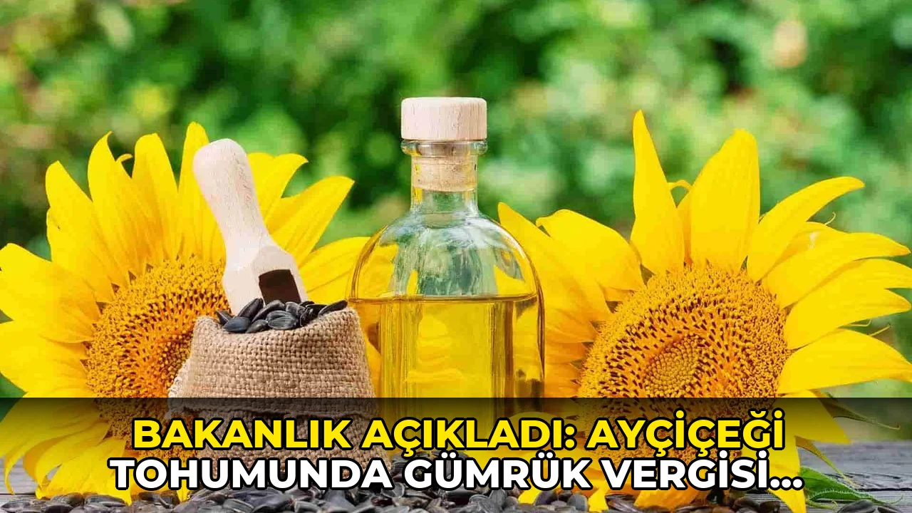 Bakanlık açıkladı: Ayçiçeği tohumunda gümrük vergisi düşüyor