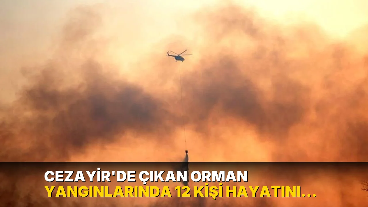 Cezayir'de çıkan orman yangınlarında 12 kişi hayatını kaybetti