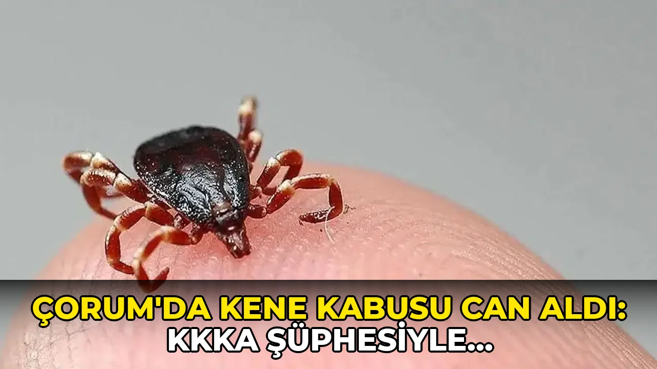 Çorum'da kene kabusu can aldı: KKKA şüphesiyle hastaneye kaldırılan yurttaş kurtarılamadı!