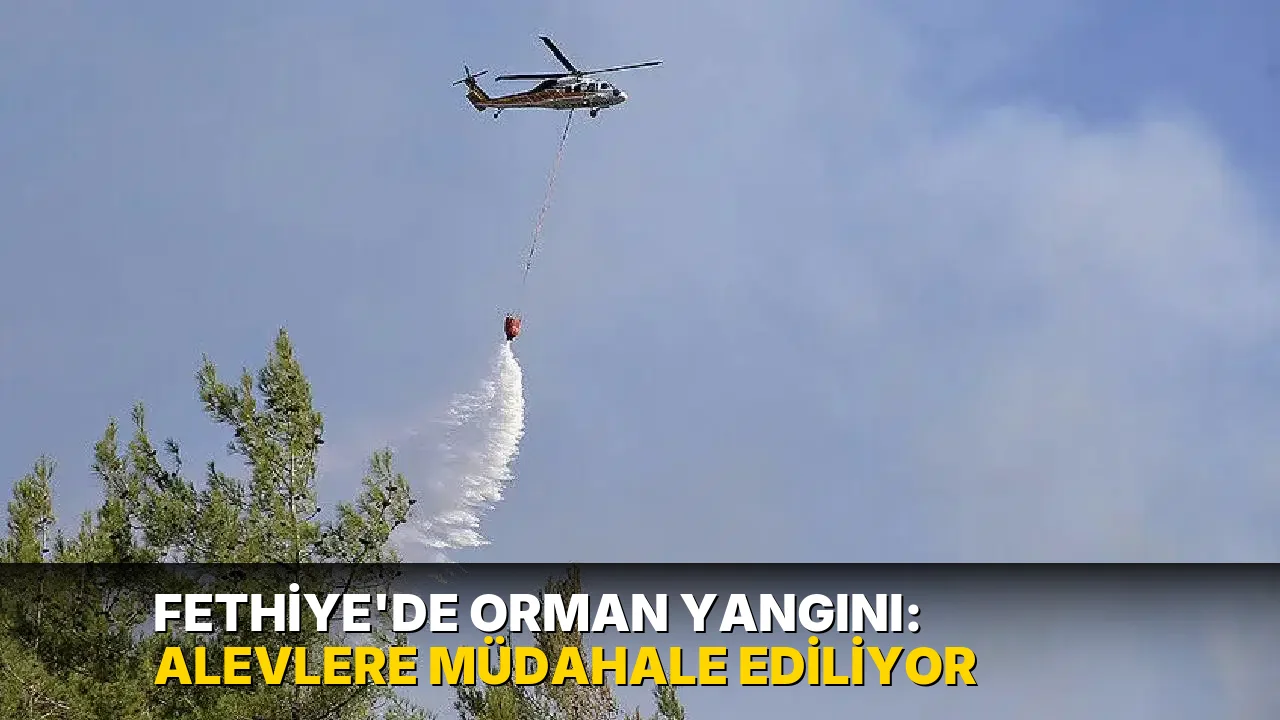 Fethiye'de orman yangını: Alevlere müdahale ediliyor