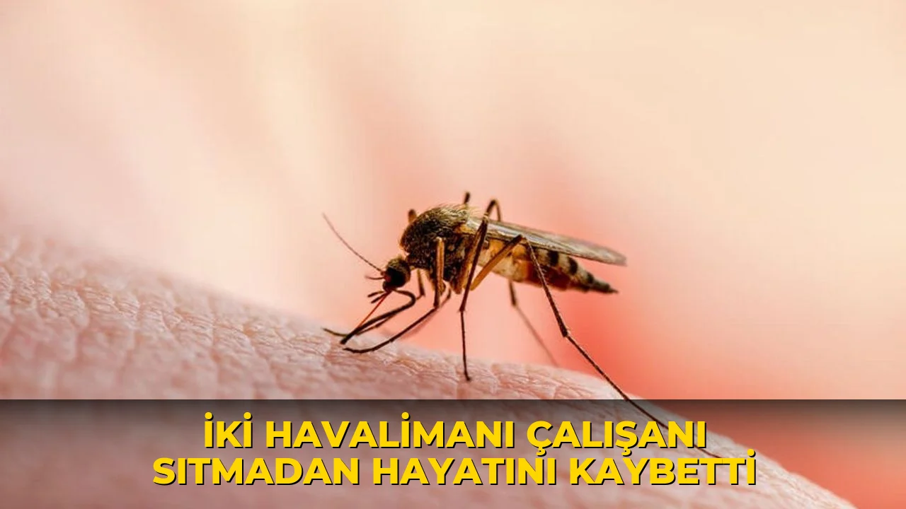 İki havalimanı çalışanı sıtmadan hayatını kaybetti