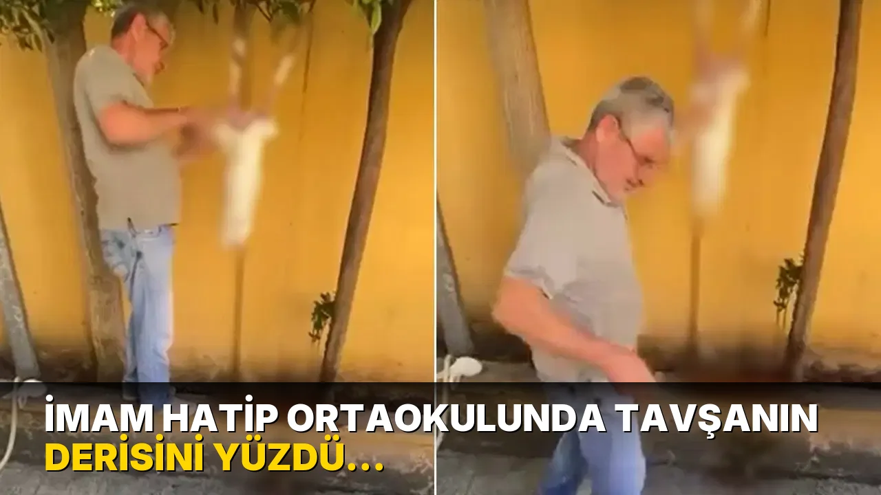 İmam hatip ortaokulunda tavşanın derisini yüzdü: Kimliği tespit edildi, gözaltına alındı