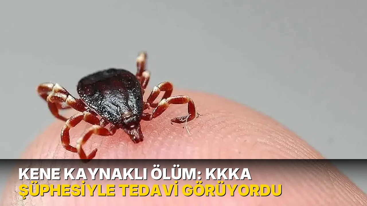 Kene yine can aldı! KKKA şüphesiyle tedavi görüyordu…