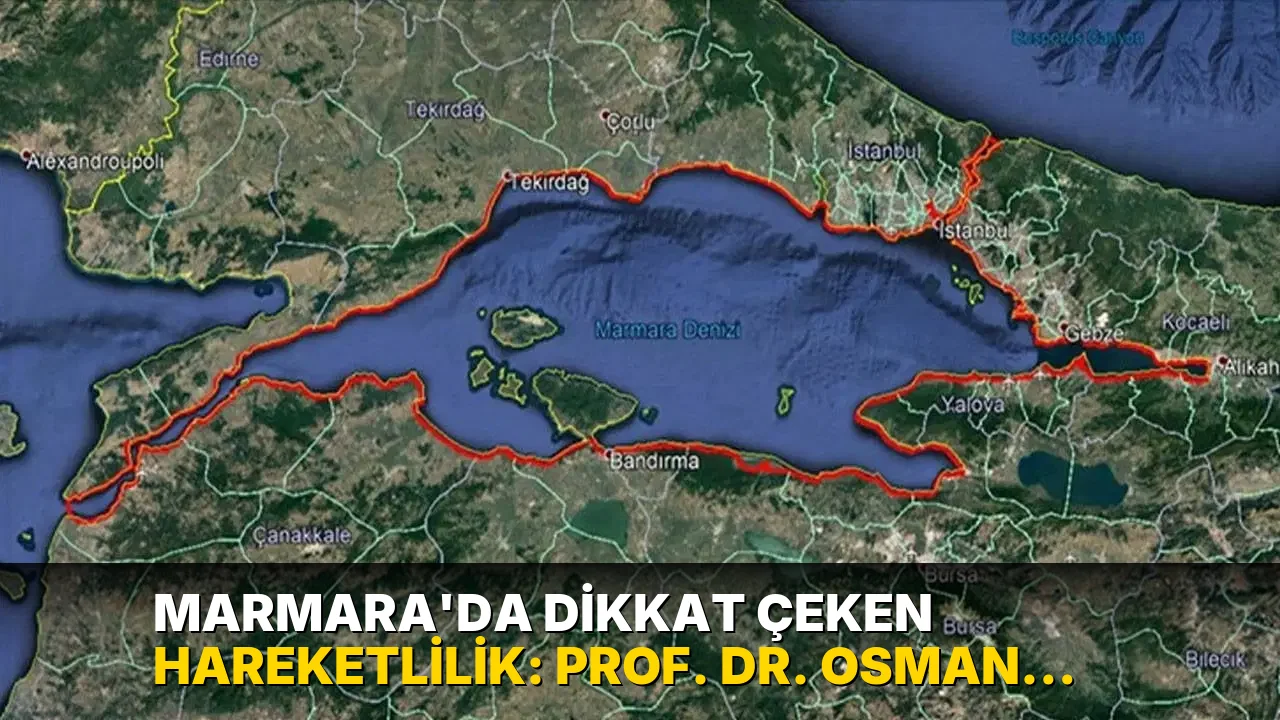 Marmara'da dikkat çeken hareketlilik: Prof. Dr. Osman Bektaş'tan Adalar ve Çınarcık fayı uyarısı