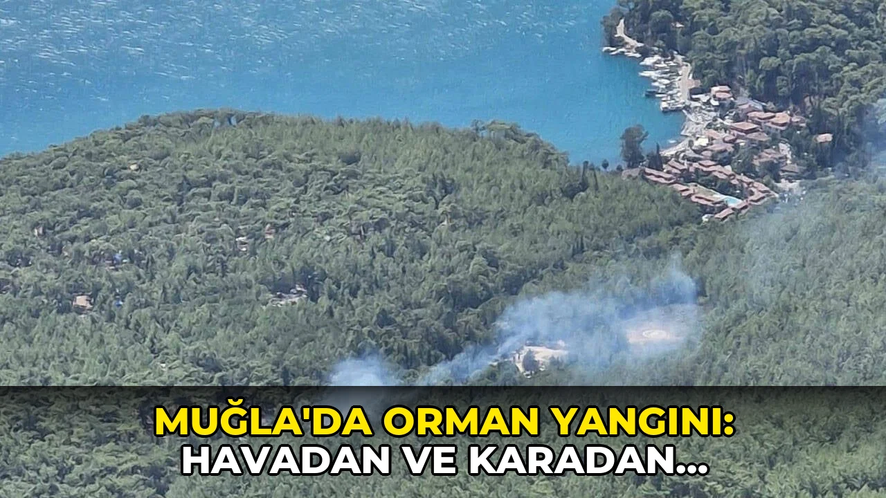 Muğla'da orman yangını: Havadan ve karadan müdahale ediliyor