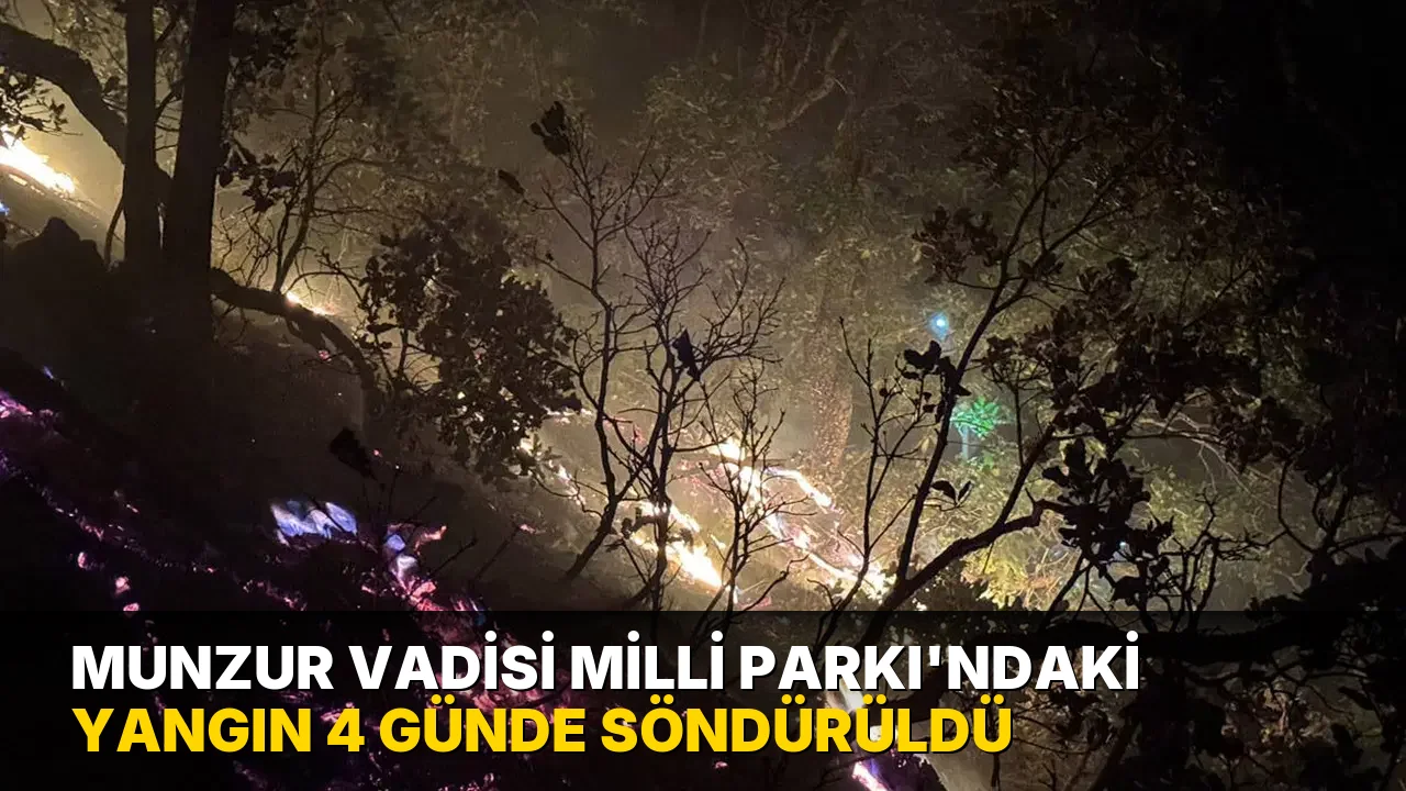 Munzur Vadisi Milli Parkı'ndaki yangın 4 günde söndürüldü