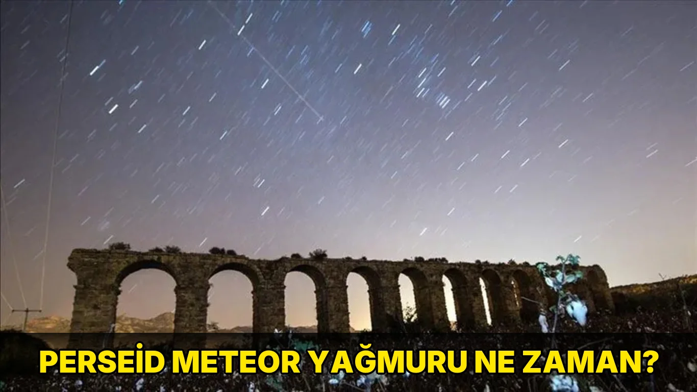 Perseid meteor yağmuru ne zaman?