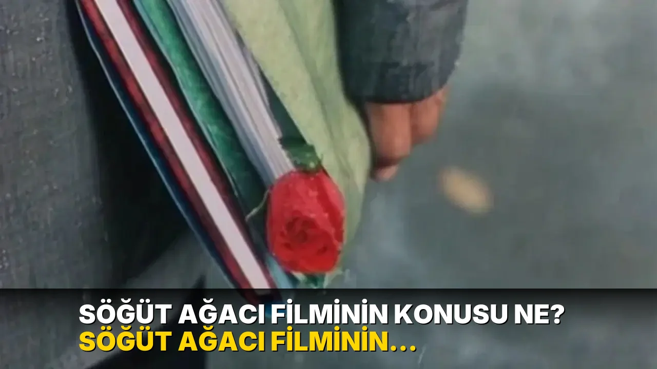 Söğüt Ağacı filminin konusu ne? Söğüt Ağacı filminin oyuncuları kim?