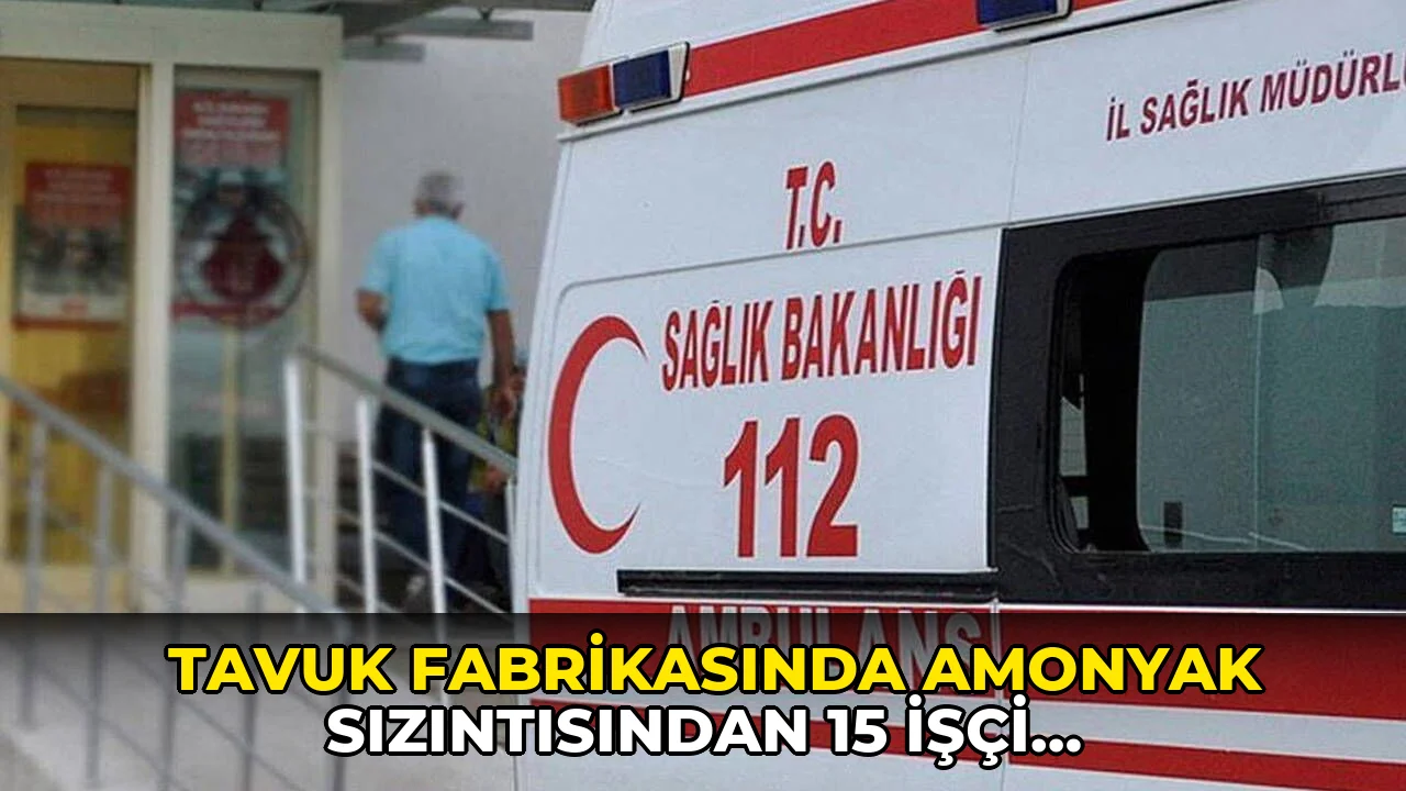 Tavuk fabrikasında amonyak sızıntısından 15 işçi hastanelik oldu!