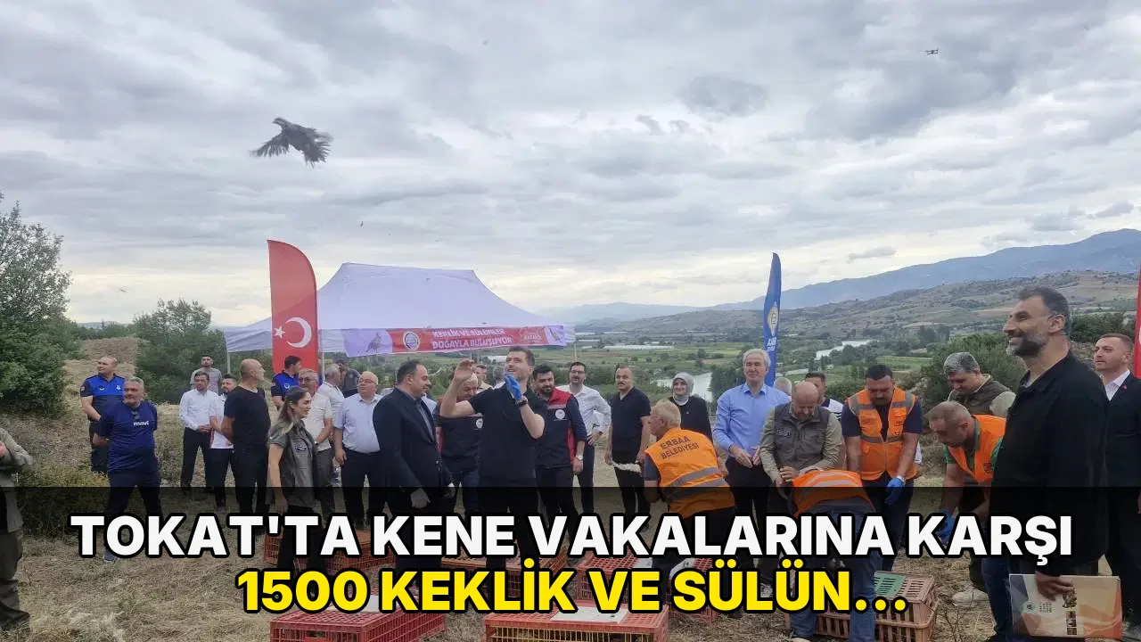 Tokat'ta kene vakalarına karşı 1500 keklik ve sülün doğaya bırakıldı