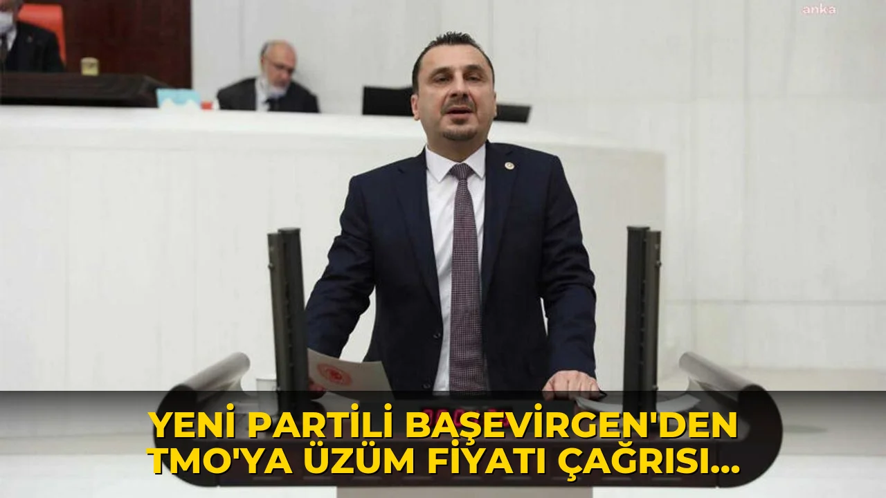 Yeni Partili Başevirgen’den TMO’ya üzüm fiyatı çağrısı: ‘150 liradan aşağı olmamalı’