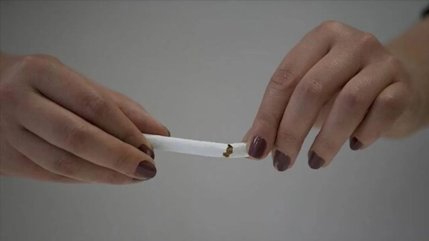 Zamlı sigara fiyat listesi