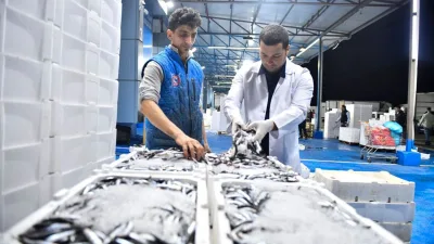 ABB'den Balık Hali'nde sıkı denetim