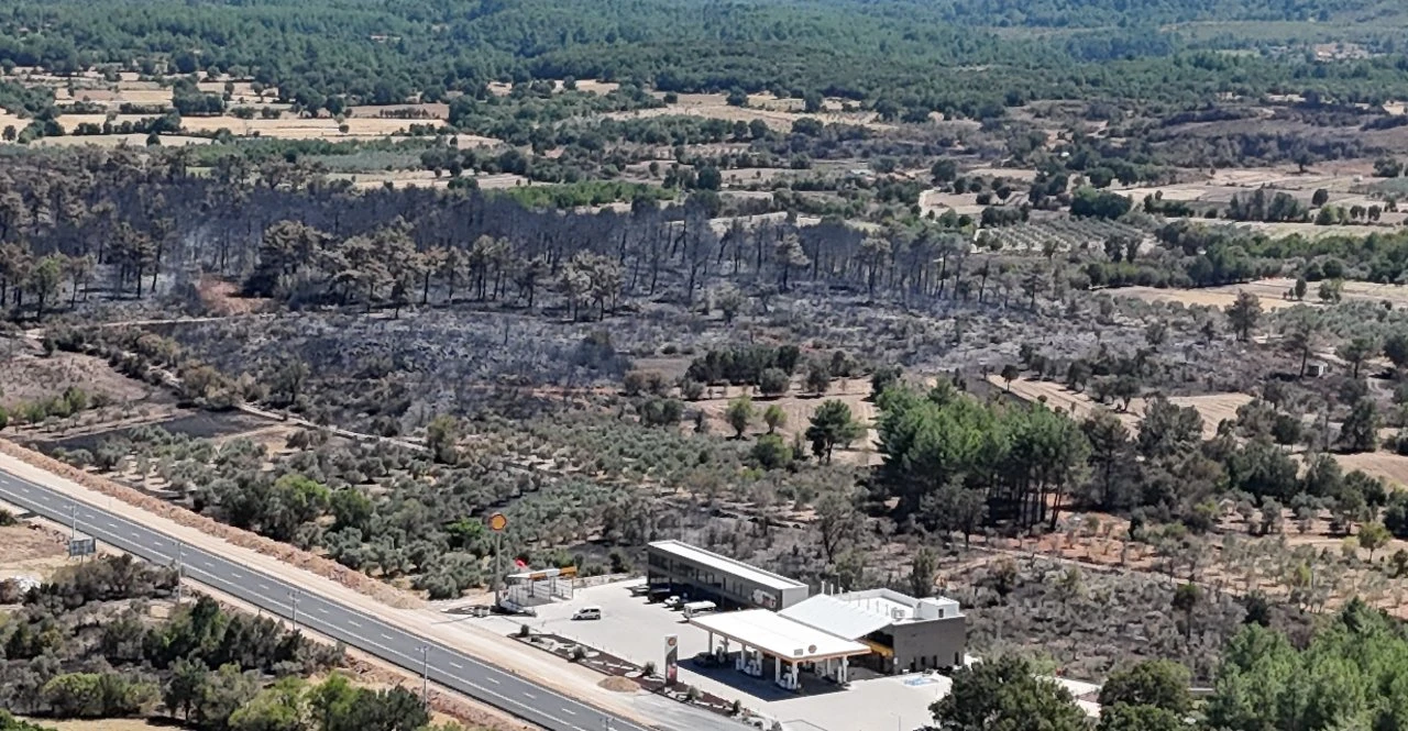 Alevlerden geriye küle dönen ormanlar kaldı! Muğla'da iç acıtan görüntü