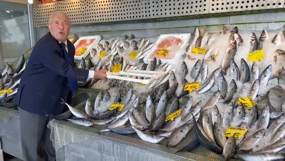 Balık fiyatları ne kadar? Hamsi, palamut ve istavrit fiyatları 2026
