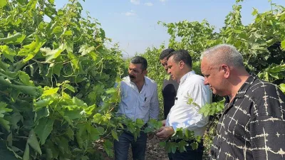 Bekir Başevirgen’den TARİŞ’in kuru üzüm fiyatına tepki: En az 150 TL olmalı