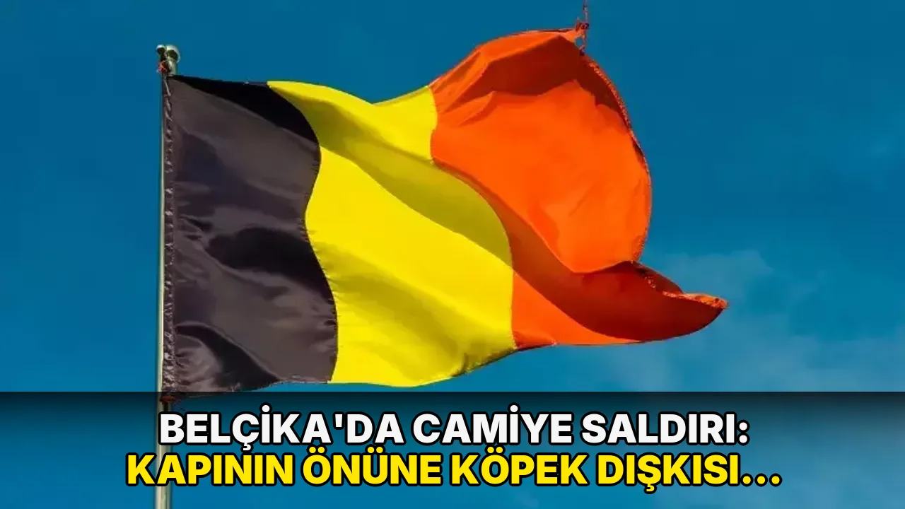 Belçika'da camiye saldırı: Kapının önüne köpek dışkısı bırakıldı