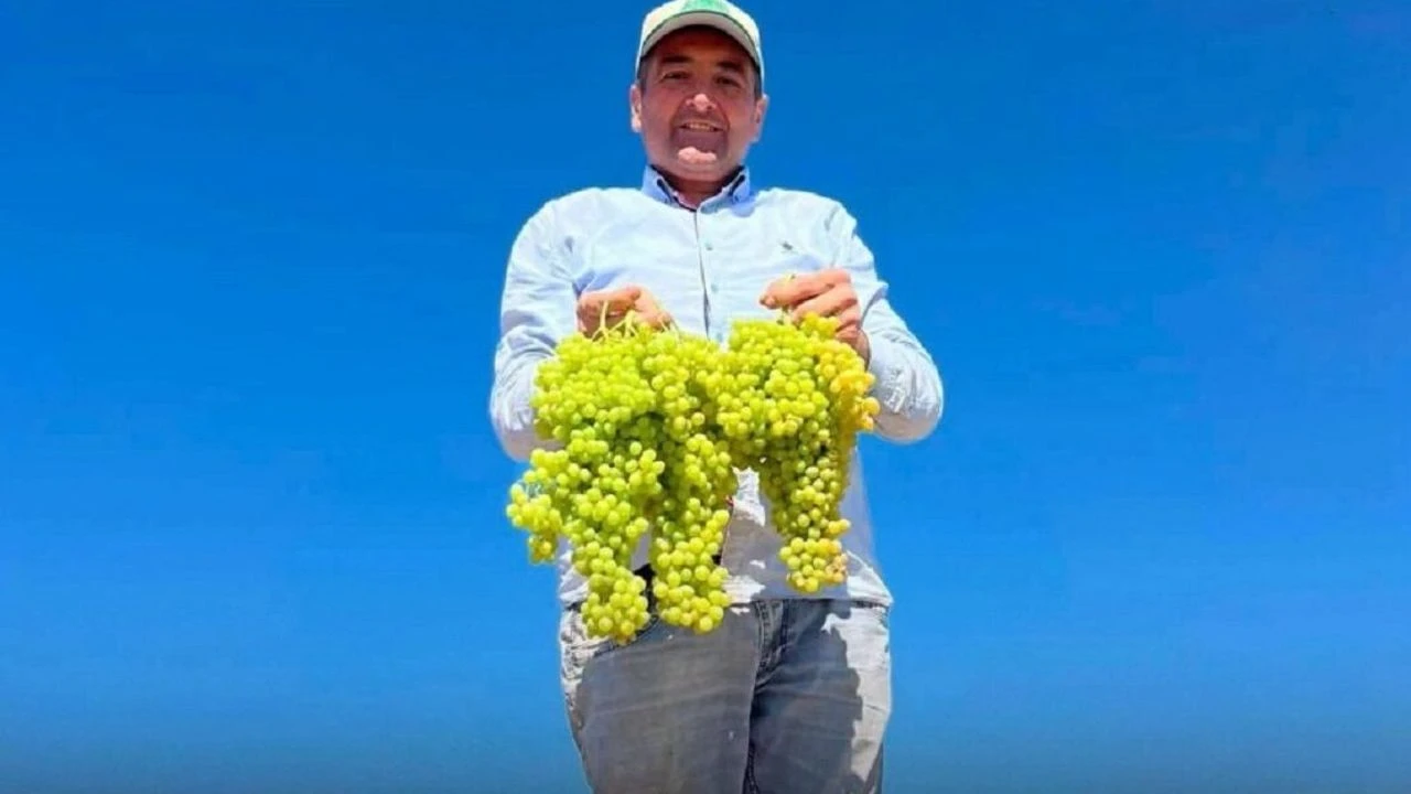 Belediye Başkanı Ekrem Cıllı, elini üzüm serme makinesine kaptırdı