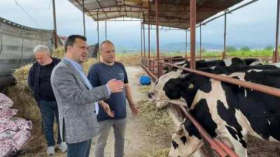 Besiciler hayvancılığı bırakma noktasında