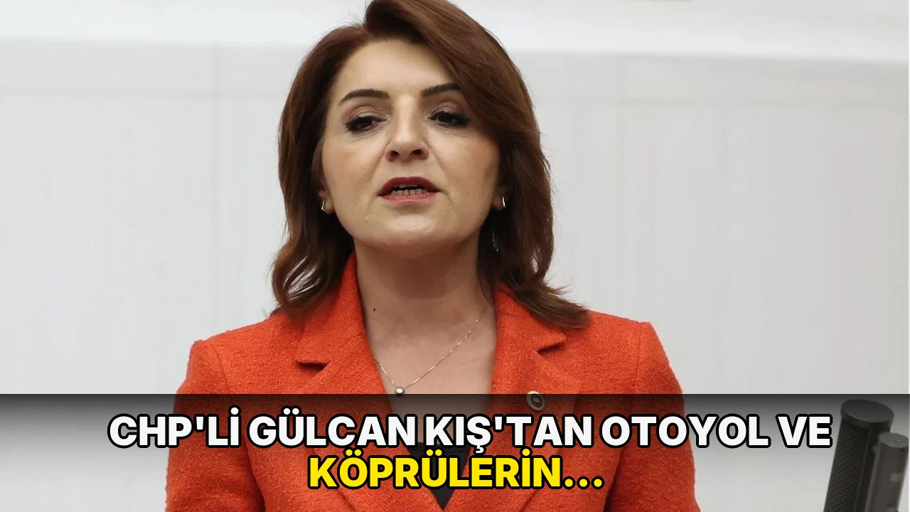 CHP'li Gülcan Kış'tan otoyol ve köprülerin özelleştirilmesine tepki