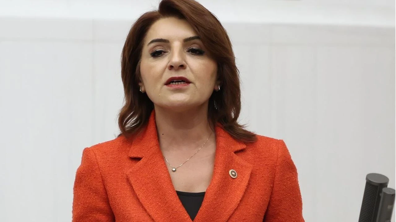 Gülcan Kış, devlet okulunda okumanın maliyetini eleştirdi
