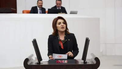 Gülcan Kış'tan yatırım fonu krizi için soru önergesi: 'Vatandaşın parasını kim karşılayacak?'