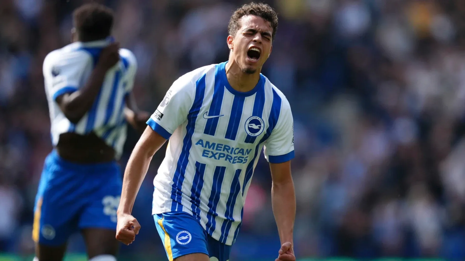 Yasin Ayari liste başıSözcü gazetesinde yer alan habere göre; sarı-lacivertli yönetimin hedefindeki ismin Brighton forması giyen Yasin Ayari olduğu belirtildi.