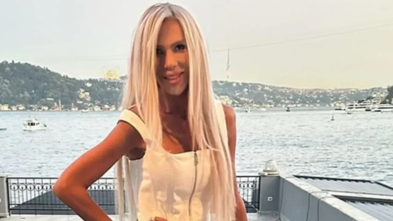 Hande Demir (İş ve cemiyet hayatı)