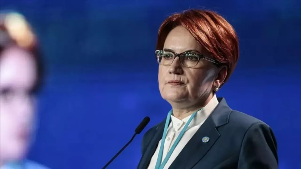 Meral Akşener Vakfı'nın logosu belli oldu